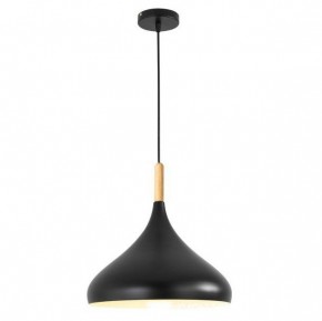 Подвесной светильник TopDecor Molto Molto S2 12 в Покачах - pokachi.ok-mebel.com | фото