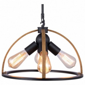 Подвесной светильник TopLight Jasmin TL1179H-04BK в Покачах - pokachi.ok-mebel.com | фото