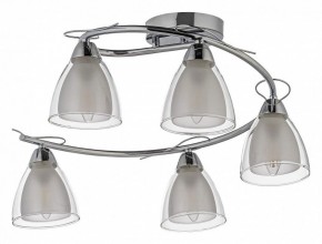 Потолочная люстра Arti Lampadari Paola, Tavenna Nickel Paola E 1.1.5 N в Покачах - pokachi.ok-mebel.com | фото