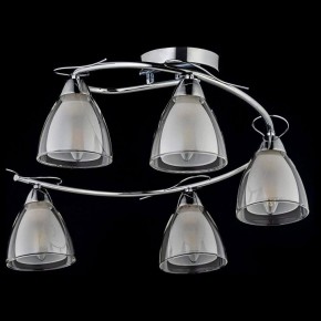 Потолочная люстра Arti Lampadari Paola, Tavenna Nickel Paola E 1.1.5 N в Покачах - pokachi.ok-mebel.com | фото 2
