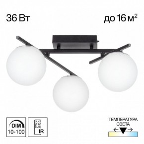 Потолочная люстра Citilux Dorsy CL223132 в Покачах - pokachi.ok-mebel.com | фото 10