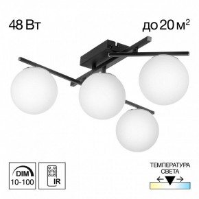 Потолочная люстра Citilux Dorsy CL223142 в Покачах - pokachi.ok-mebel.com | фото 9