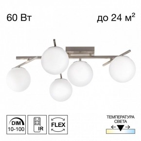 Потолочная люстра Citilux Dorsy CL223151 в Покачах - pokachi.ok-mebel.com | фото 2