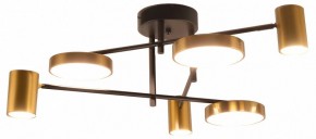 Потолочная люстра Kink Light Рапис 07645-6D,19(20) в Покачах - pokachi.ok-mebel.com | фото