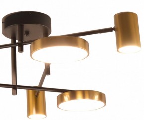 Потолочная люстра Kink Light Рапис 07645-6D,19(20) в Покачах - pokachi.ok-mebel.com | фото 2
