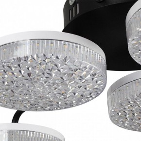 Потолочная люстра Lumion Didana 8236/6CL в Покачах - pokachi.ok-mebel.com | фото 10