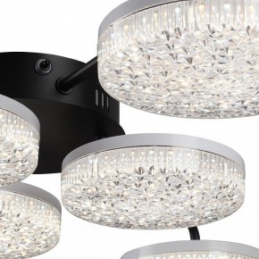Потолочная люстра Lumion Didana 8236/6CL в Покачах - pokachi.ok-mebel.com | фото 9