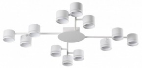 Потолочная люстра Lumion Gareta 8235/12C в Покачах - pokachi.ok-mebel.com | фото