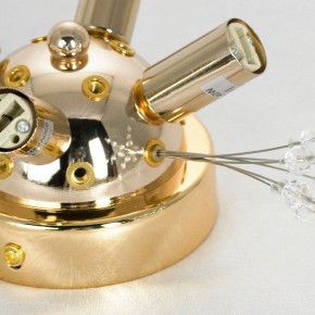 Потолочная люстра Lussole Davie LSP-8781 в Покачах - pokachi.ok-mebel.com | фото 4