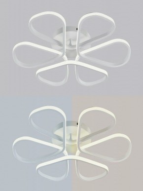 Потолочная люстра Natali Kovaltseva COBRA LED LAMPS 81121/7C в Покачах - pokachi.ok-mebel.com | фото 6