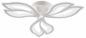 Потолочная люстра Natali Kovaltseva FORTUNA LED LAMPS 81107/2C в Покачах - pokachi.ok-mebel.com | фото