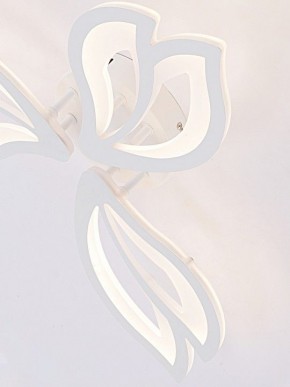 Потолочная люстра Natali Kovaltseva FORTUNA LED LAMPS 81107/2C в Покачах - pokachi.ok-mebel.com | фото 11