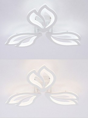 Потолочная люстра Natali Kovaltseva FORTUNA LED LAMPS 81107/2C в Покачах - pokachi.ok-mebel.com | фото 4