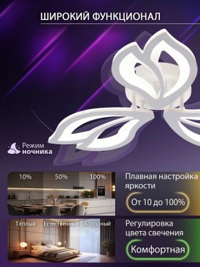 Потолочная люстра Natali Kovaltseva FORTUNA LED LAMPS 81107/2C в Покачах - pokachi.ok-mebel.com | фото 5