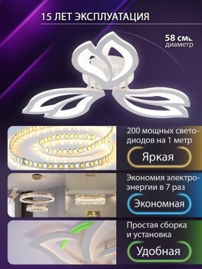 Потолочная люстра Natali Kovaltseva FORTUNA LED LAMPS 81107/2C в Покачах - pokachi.ok-mebel.com | фото 6