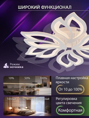 Потолочная люстра Natali Kovaltseva FORTUNA LED LAMPS 81107/6C в Покачах - pokachi.ok-mebel.com | фото 6