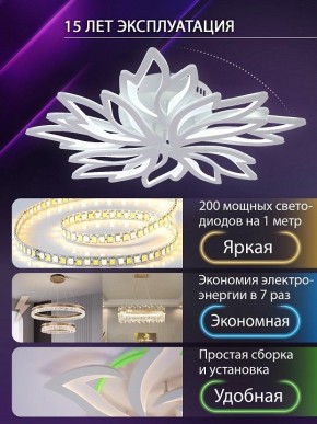 Потолочная люстра Natali Kovaltseva RIF LED LAMPS 81118/6C в Покачах - pokachi.ok-mebel.com | фото 5