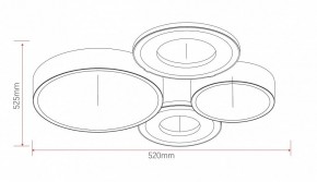 Потолочная люстра Rivoli Aliona Б0066451 в Покачах - pokachi.ok-mebel.com | фото 11