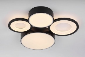Потолочная люстра Rivoli Aliona Б0066451 в Покачах - pokachi.ok-mebel.com | фото 8