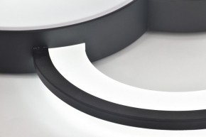 Потолочная люстра Rivoli Aliona Б0066452 в Покачах - pokachi.ok-mebel.com | фото 10