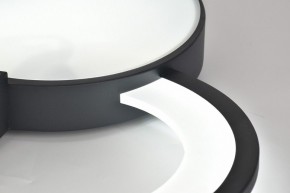 Потолочная люстра Rivoli Aliona Б0066452 в Покачах - pokachi.ok-mebel.com | фото 11