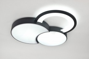 Потолочная люстра Rivoli Aliona Б0066452 в Покачах - pokachi.ok-mebel.com | фото 8