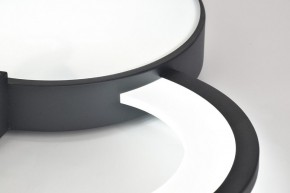 Потолочная люстра Rivoli Aliona Б0066452 в Покачах - pokachi.ok-mebel.com | фото 9