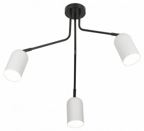 Потолочная люстра Rivoli Rosalinda Б0064987 в Покачах - pokachi.ok-mebel.com | фото 4