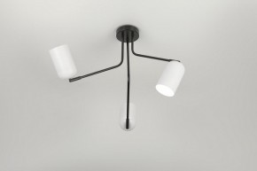 Потолочная люстра Rivoli Rosalinda Б0064987 в Покачах - pokachi.ok-mebel.com | фото 7
