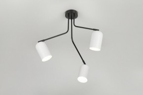 Потолочная люстра Rivoli Rosalinda Б0064987 в Покачах - pokachi.ok-mebel.com | фото 8