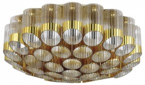 Потолочная люстра ST-Luce Accord SL1662.302.19 в Покачах - pokachi.ok-mebel.com | фото 2