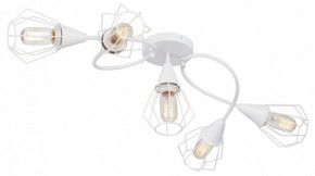 Потолочная люстра Vitaluce V3037 V3037-0/5PL в Покачах - pokachi.ok-mebel.com | фото