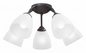 Потолочная люстра Vitaluce V3184 V3737-2/5PL в Покачах - pokachi.ok-mebel.com | фото