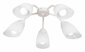 Потолочная люстра Vitaluce V31950 V31950/5PL в Покачах - pokachi.ok-mebel.com | фото