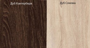 Прихожая-купе Смарт 3 (1000) в Покачах - pokachi.ok-mebel.com | фото 5
