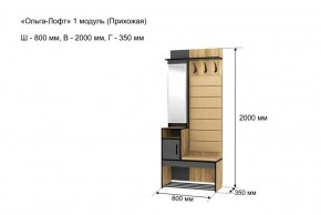 Прихожая "Ольга-Лофт 1" в Покачах - pokachi.ok-mebel.com | фото 4