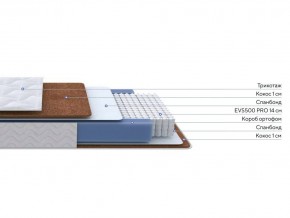 PROxSON Матрас Active F Roll (Ткань Трикотаж Эко) 160x200 в Покачах - pokachi.ok-mebel.com | фото 3