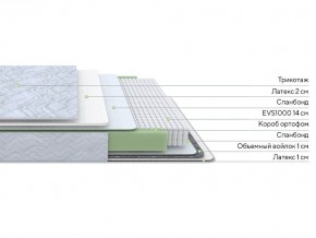 PROxSON Матрас Green S (Tricotage Dream) 80x195 в Покачах - pokachi.ok-mebel.com | фото 2