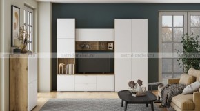 МИЛАН-1 Секция ТВ (ЦРК.МЛН.01 секция ТВ) в Покачах - pokachi.ok-mebel.com | фото 3