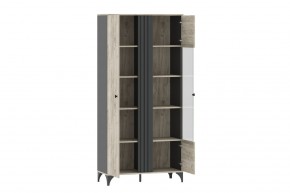 Шкаф комбинированный НМ 040.10 "Отис" в Покачах - pokachi.ok-mebel.com | фото 2