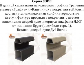 Шкаф-купе 1800 серии SOFT D1+D3+B2+PL1 (2 ящика+1штанга) профиль «Графит» в Покачах - pokachi.ok-mebel.com | фото 11