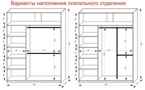 Шкаф-купе 1800 серии SOFT D8+D2+B2+PL4 (2 ящика+F обр.штанга) профиль «Графит» в Покачах - pokachi.ok-mebel.com | фото 8