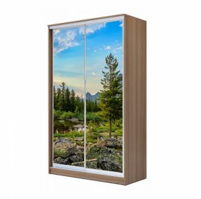 Шкаф-купе ХИТ 22-4-12/2-77 (420) в Покачах - pokachi.ok-mebel.com | фото 11