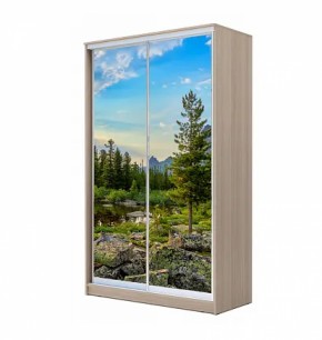 Шкаф-купе ХИТ 22-4-12/2-77 (420) в Покачах - pokachi.ok-mebel.com | фото 12