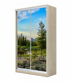 Шкаф-купе ХИТ 22-4-12/2-77 (420) в Покачах - pokachi.ok-mebel.com | фото 13