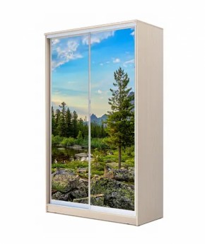 Шкаф-купе ХИТ 22-4-12/2-77 (420) в Покачах - pokachi.ok-mebel.com | фото 14
