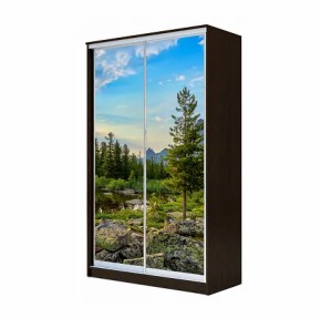 Шкаф-купе ХИТ 22-4-12/2-77 (420) в Покачах - pokachi.ok-mebel.com | фото 9
