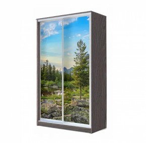 Шкаф-купе ХИТ 22-4-12/2-77 (420) в Покачах - pokachi.ok-mebel.com | фото 10