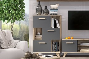 Шкаф низкий с нишами Вега Скандинавия в Покачах - pokachi.ok-mebel.com | фото 6