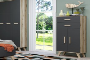 Шкаф низкий Вега Скандинавия в Покачах - pokachi.ok-mebel.com | фото 8